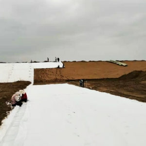 復合土工膜施工