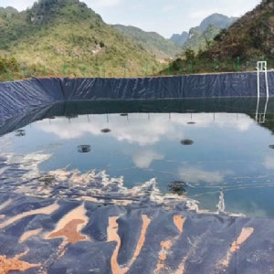 氧化塘防滲土工膜