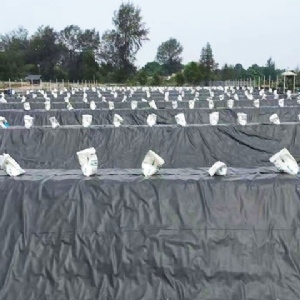 養殖土工膜施工