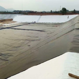 固廢物填埋防滲膜施工