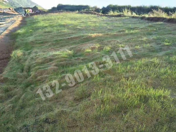 抗沖生態(tài)保護毯