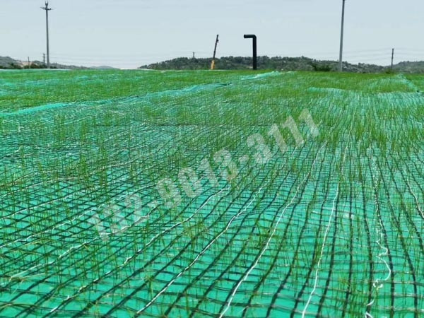 抗沖生態(tài)保護毯