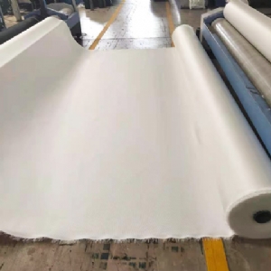 聚酯加筋濾網(wǎng)