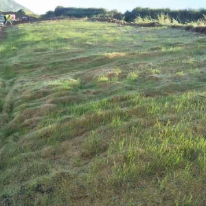 抗沖生態(tài)保護毯