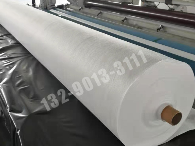 長(cháng)絲聚酯無(wú)紡土工布