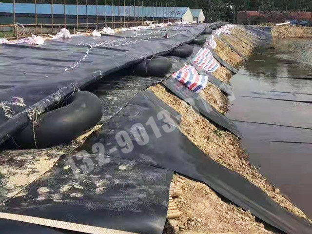 養殖塘防滲