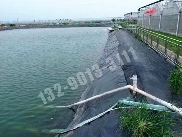 養殖塘防滲