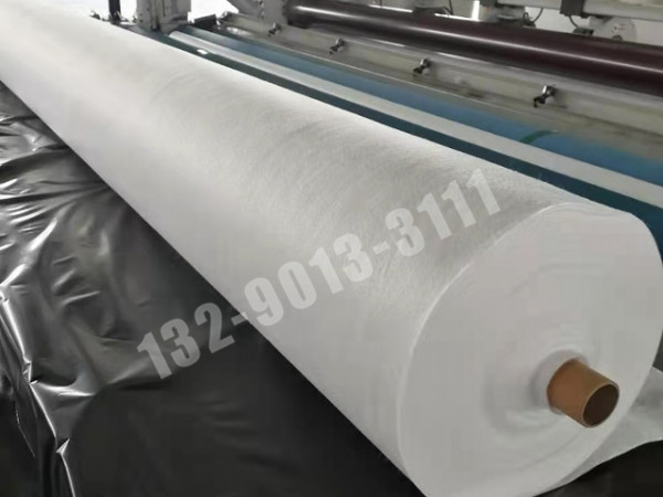 長(cháng)絲聚酯無(wú)紡土工布