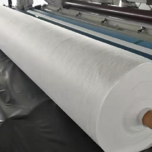 長(cháng)絲聚酯無(wú)紡土工布