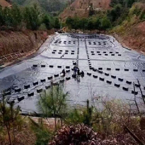 垃圾填埋場(chǎng)調節池防滲膜