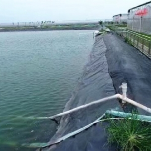 養殖塘防滲膜