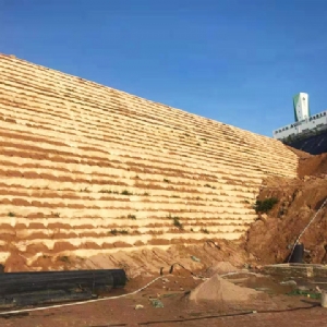 加筋土工布施工