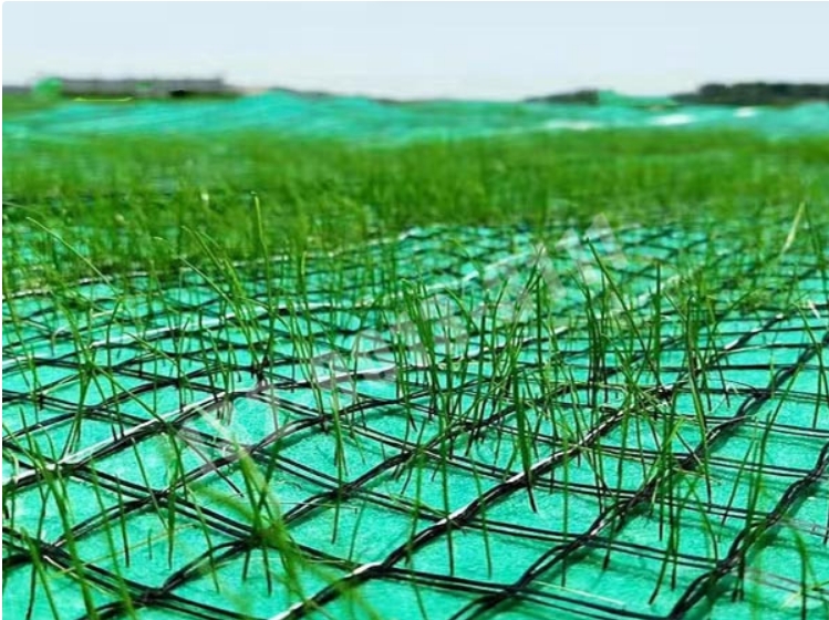 微信截圖_20240628154113